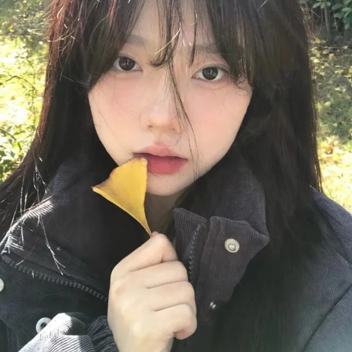 美国恐怖故事第七季